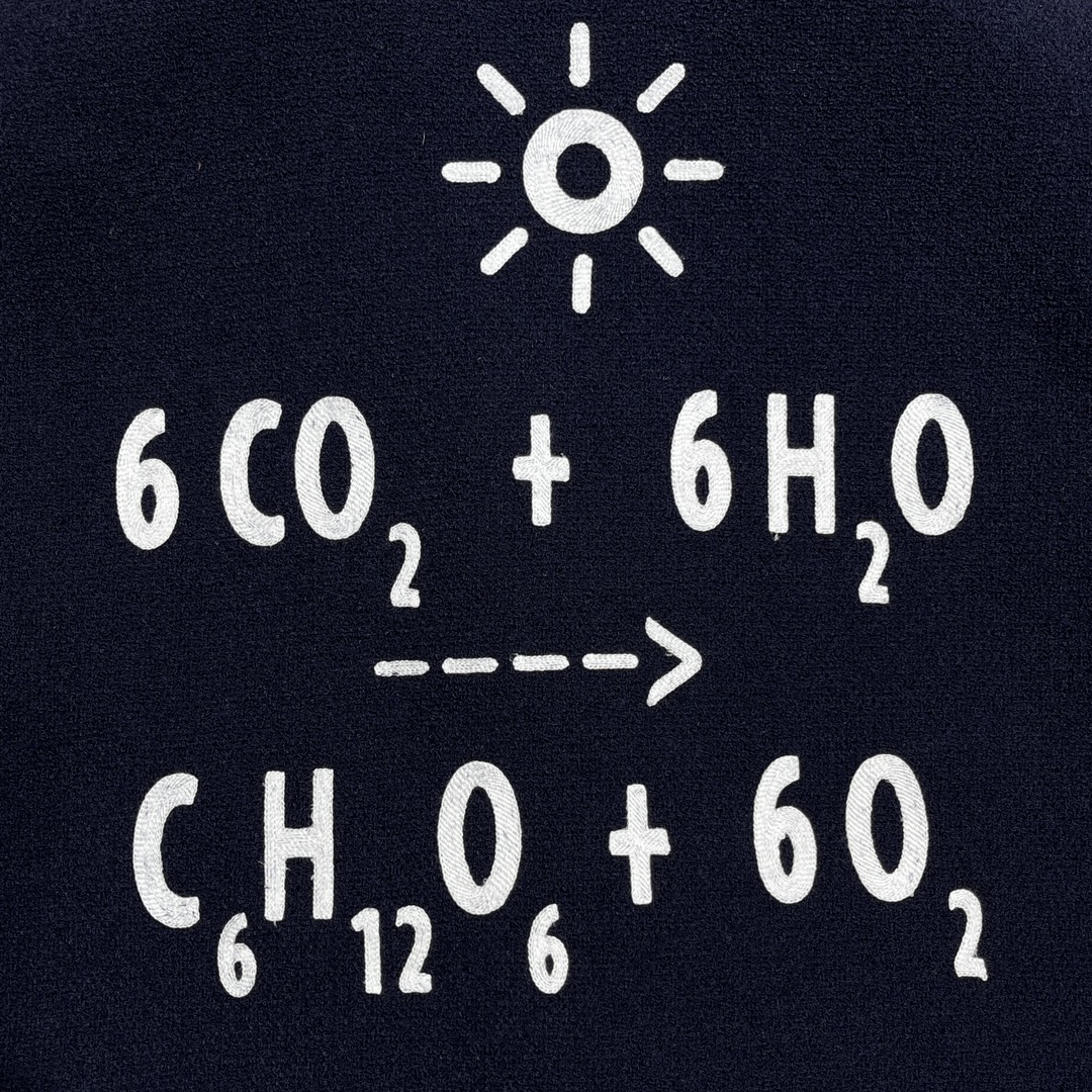 010_a9f7f8.jpg