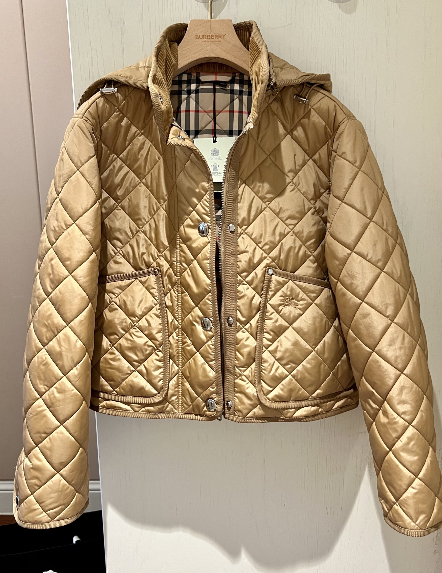 005_b1256b.jpg