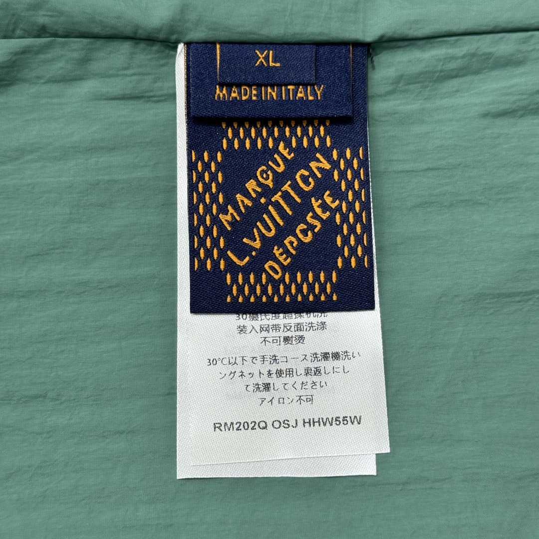 010_a31a21.jpg