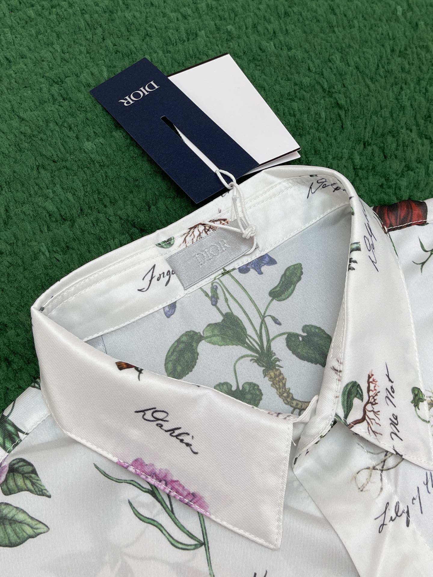 007_d52060.jpg
