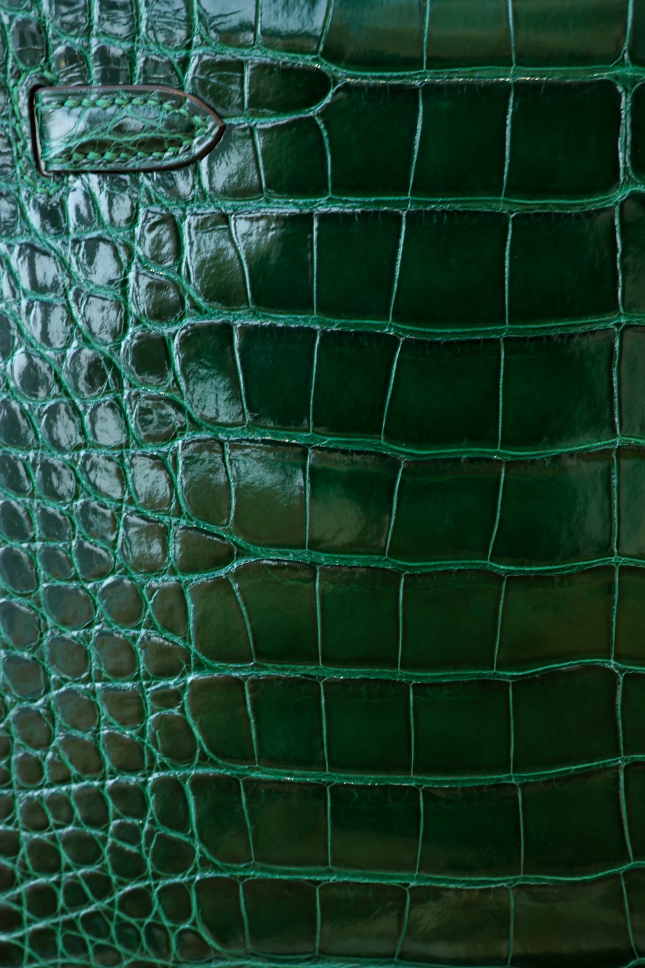 021_e97951.jpg