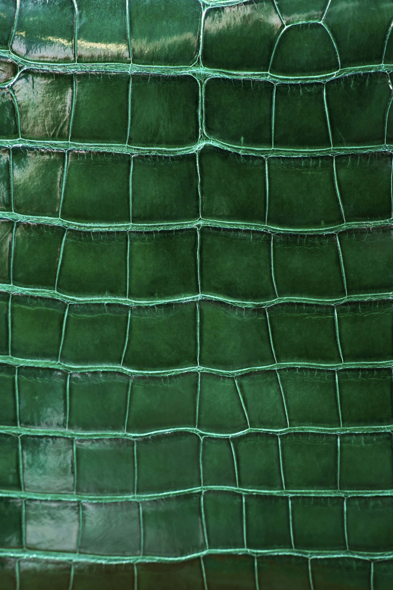 028_f80d81.jpg