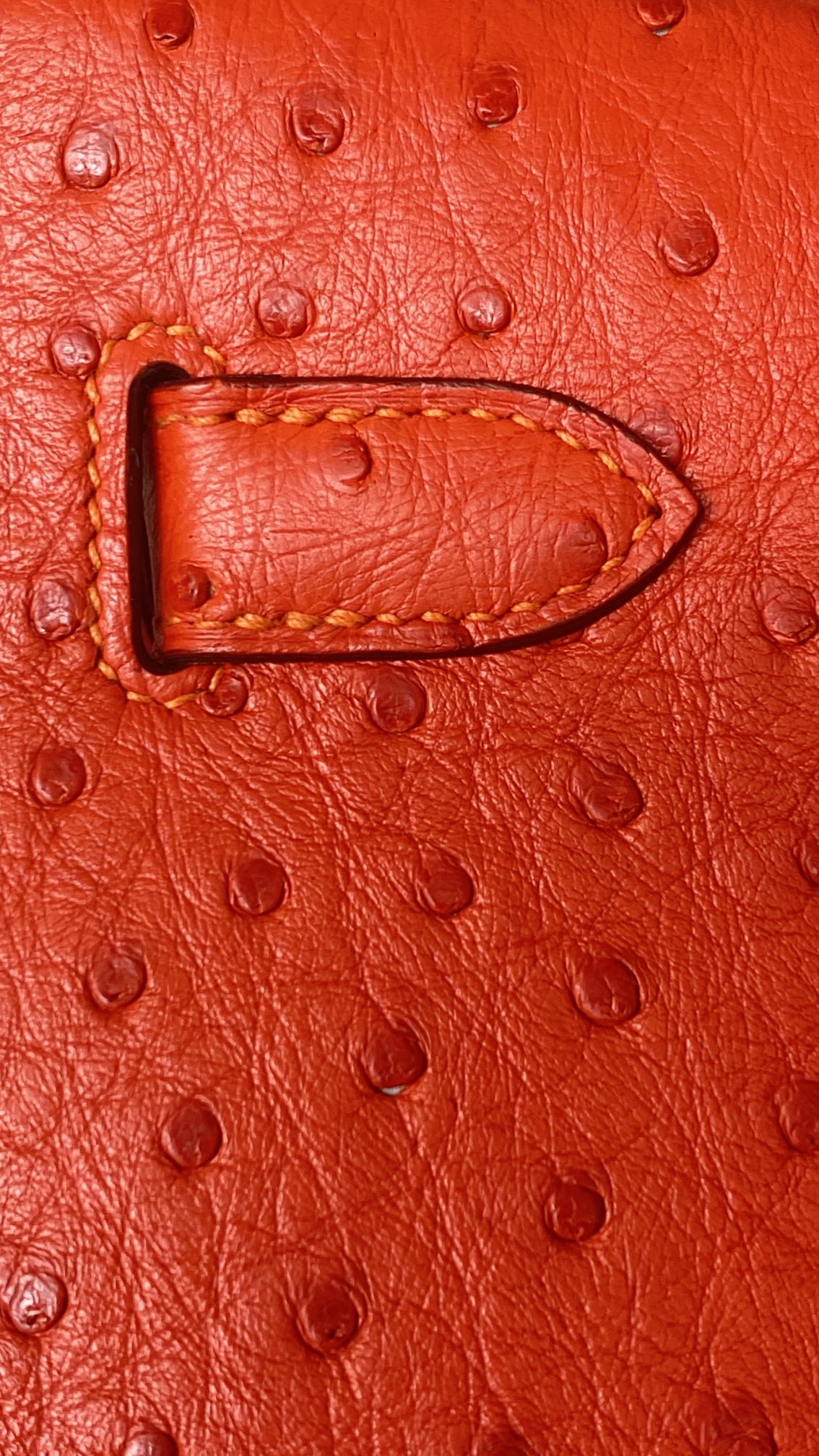 019_a2330d.jpg