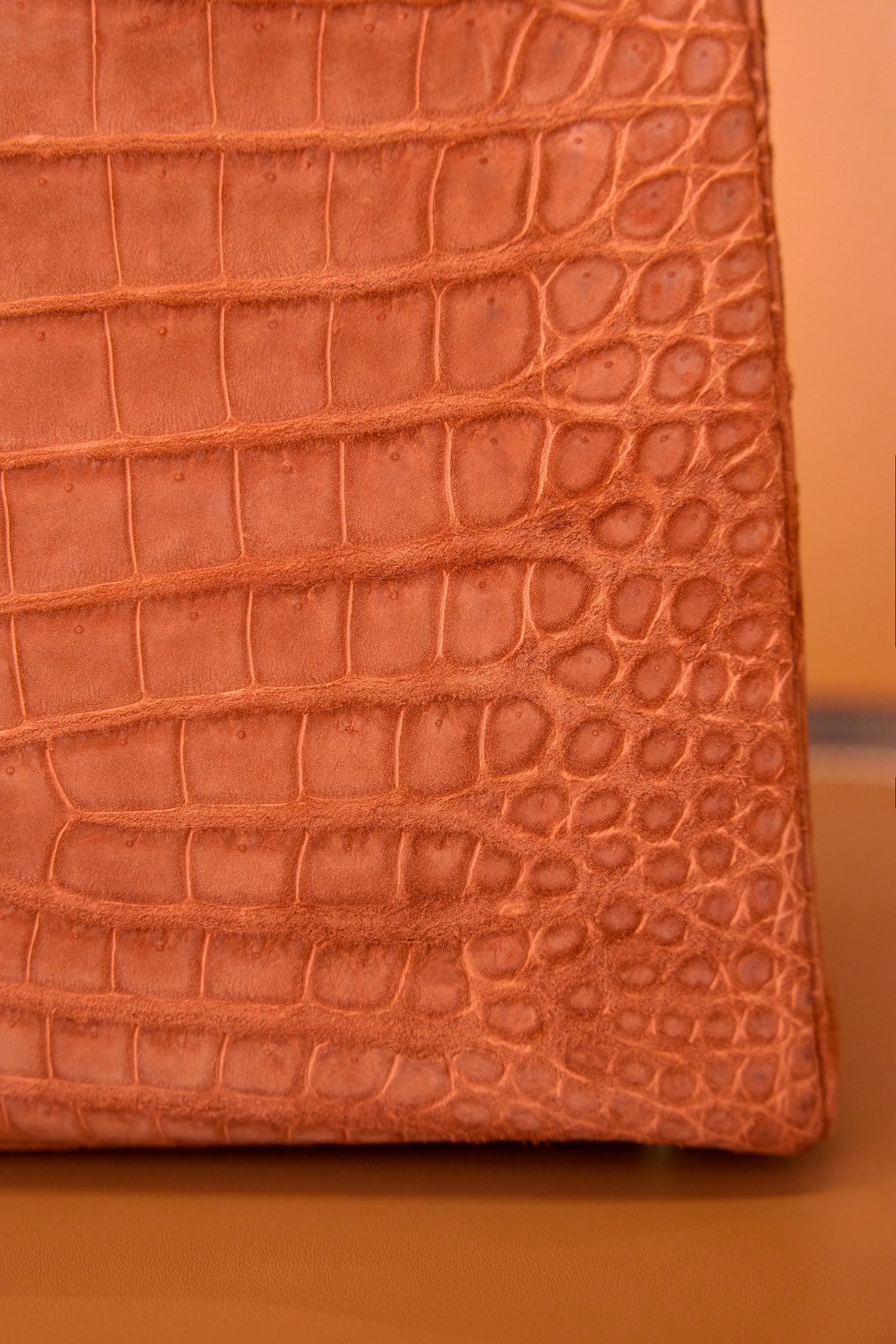 016_e33750.jpg