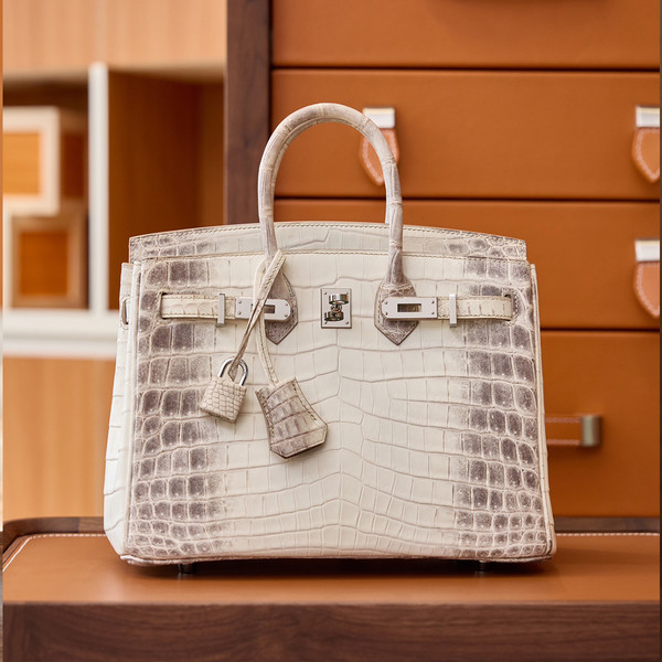 에르메스 버킨25 악어 Himalaya [정상가 12000만원대]